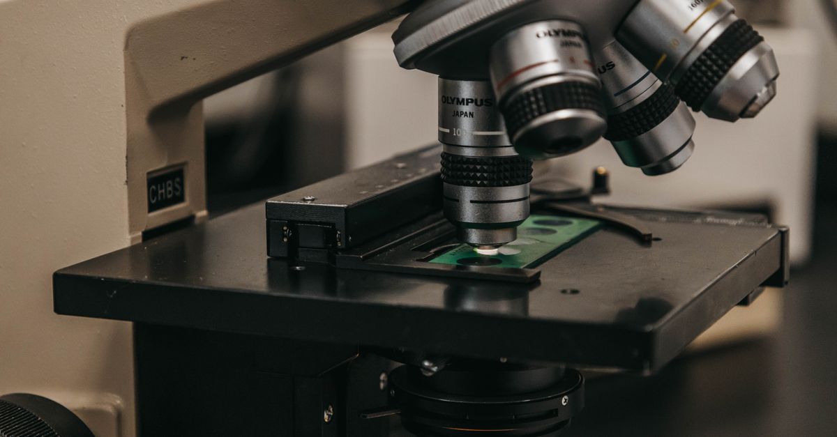AI-CGM Platform Engagement Linked to Clinically Meaningful Weight Loss