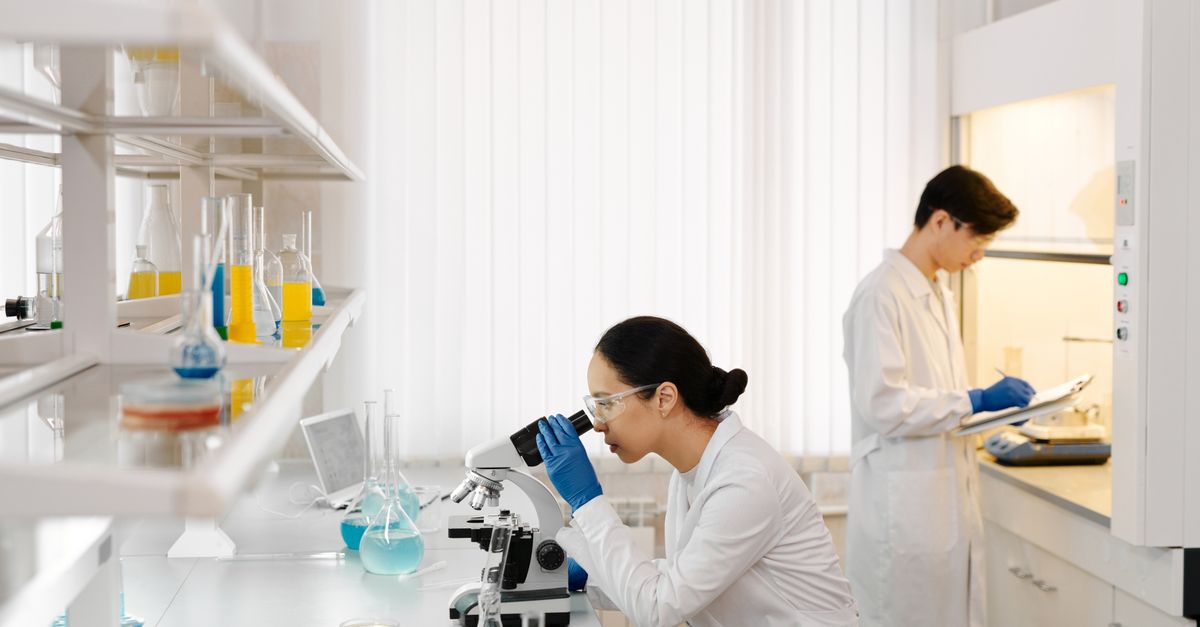 Beyond GLP-1: What Amylin Analogs Could Change About Weight Loss