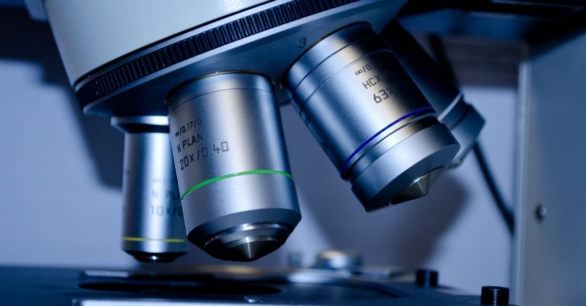 Dutch Researchers Report Breakthrough in Brain-Tumor Obesity — Here's What the Science Says