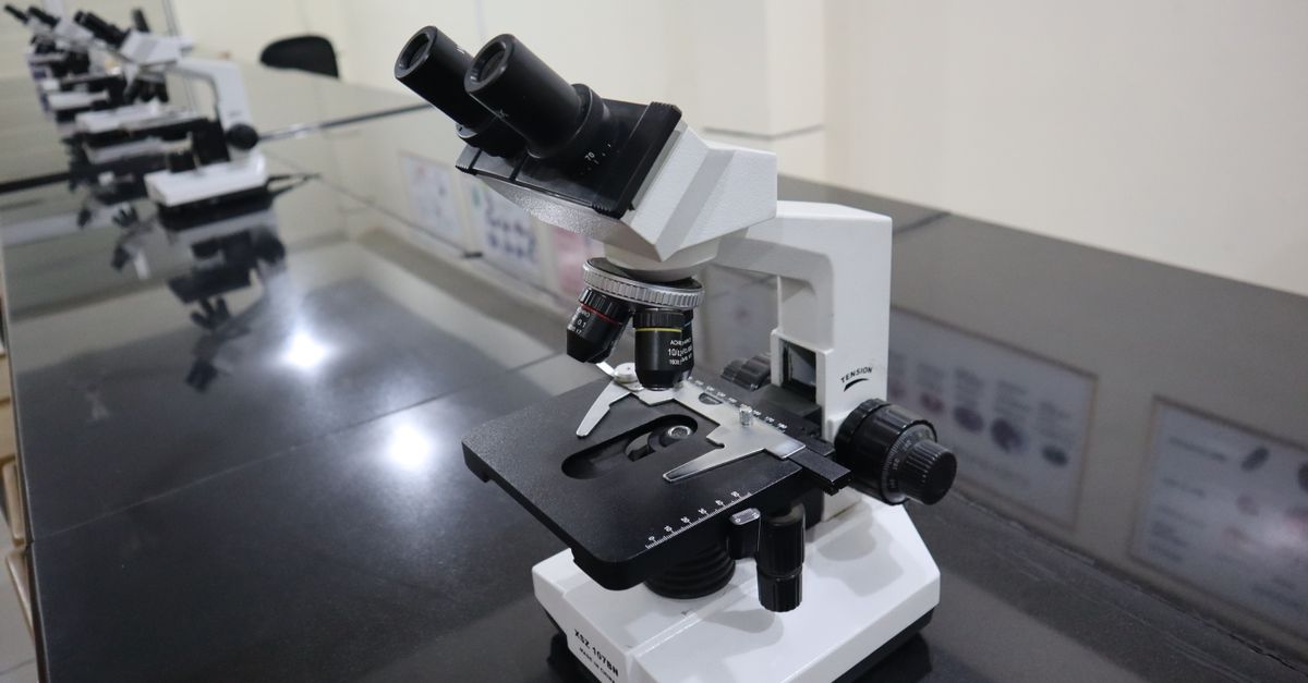 GLP-1s May Lower The Risk Of These 13 Cancers, New Study Finds