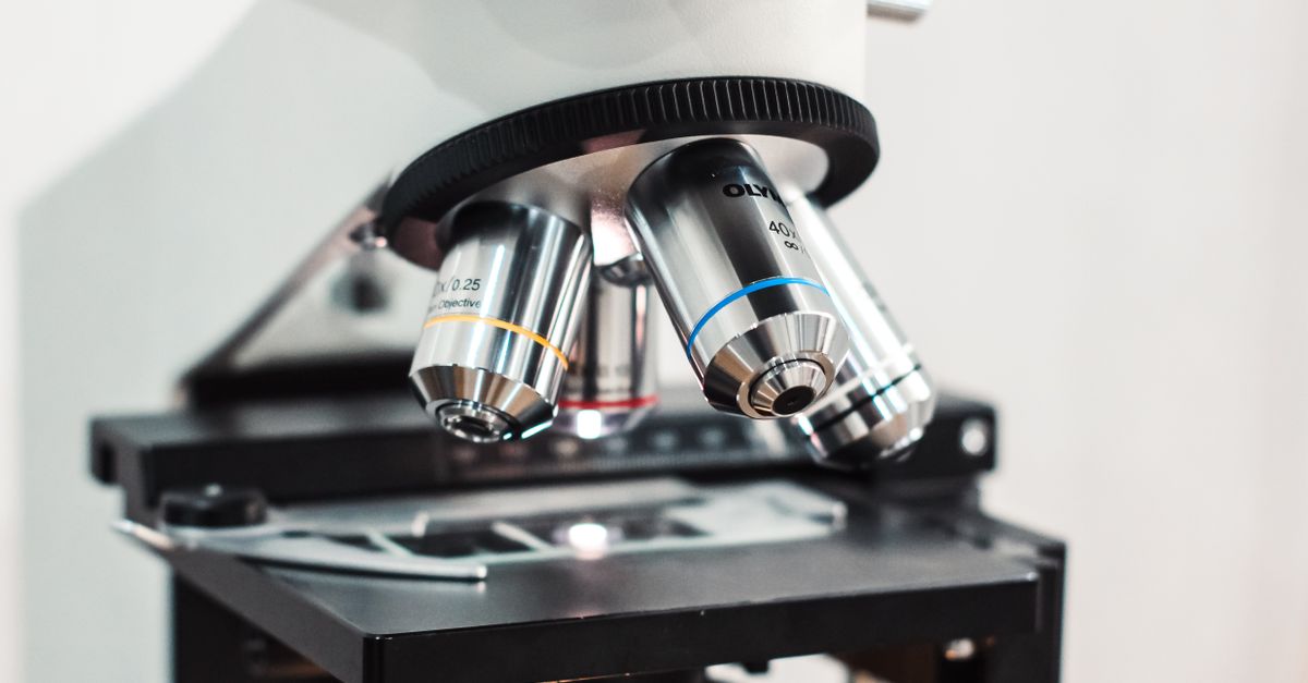 GLP-1 Drugs May Reshape Obesity Care — But Clinicians Still Have Questions