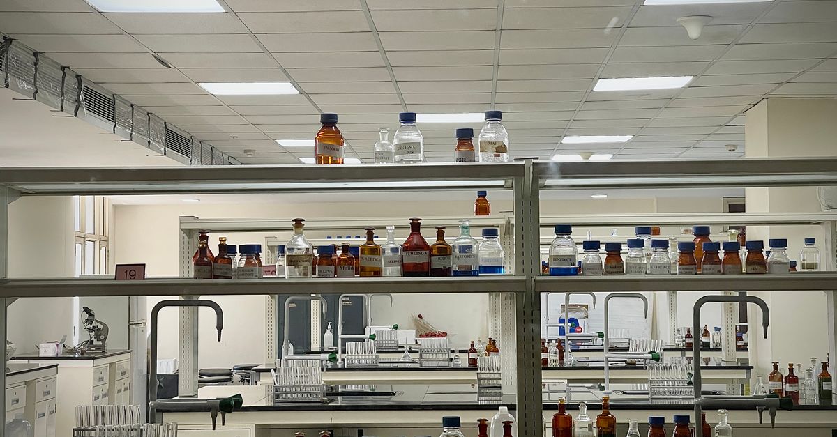 Could GLP-1 Medications Help Lower Cancer Risk? What New Research Suggests