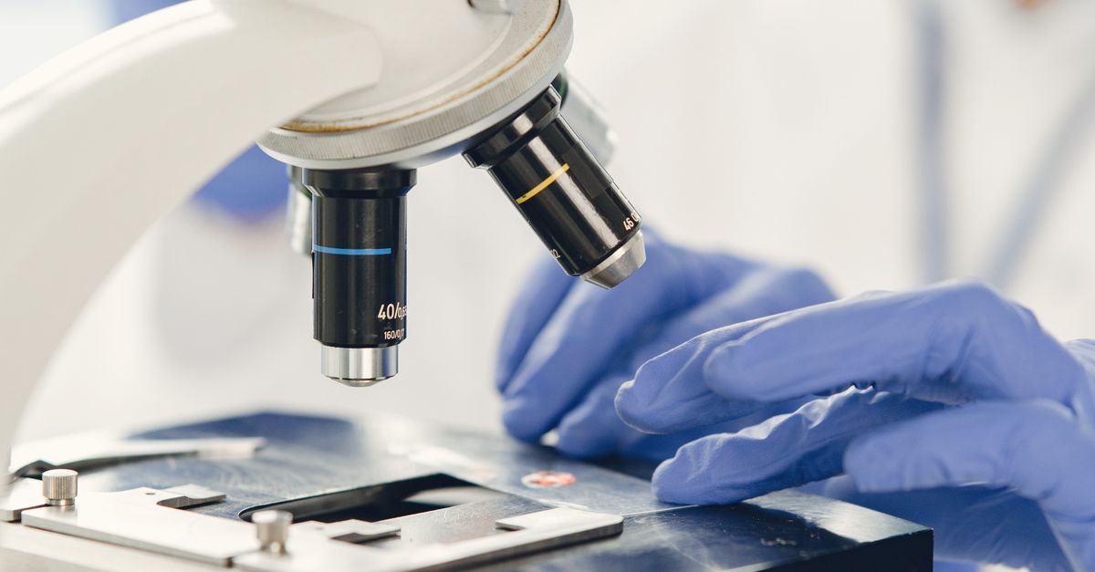 New Review Supports GLP-1 Safety and Effectiveness for Obesity