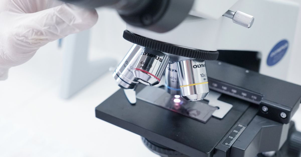 In the Age of GLP-1s, Plastic Surgeons Face a New Reality