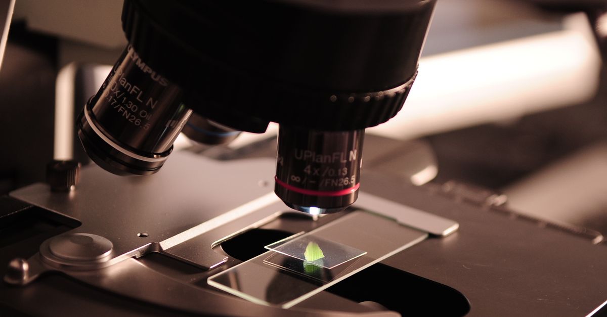 The Brain Does Something Unexpected on Long-Term Semaglutide — And It Depends on Your Sex